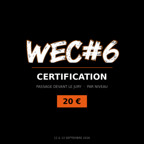 Certification cracheur de Feu au WEC#6, passage devant un jury de quatre professionnels — Pyroplasticien, atelier artisanal de Feu